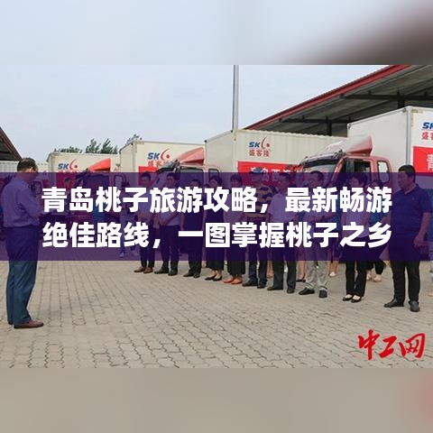 青岛桃子旅游攻略，最新畅游绝佳路线，一图掌握桃子之乡的魅力