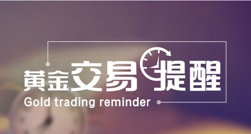 工银版本号,动态说明分析_黄金版1_v9.249