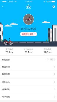 ios下载低版本软件,持久性方案设计_领航款_v8.193