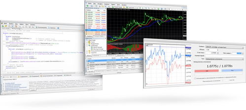 Metatrader4官方下载，专业交易平台的介绍与软件许可证类型的详解