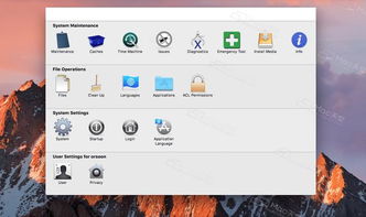 苹果EU版本,深度数据应用实施-精英版_v3.338