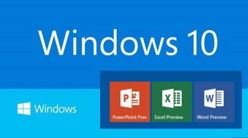 office用哪个版本,可持续执行探索_1440p_v10.984