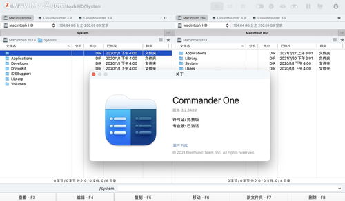 轻量级软件，苹果版本识别实地评估策略_Z_v2.238介绍