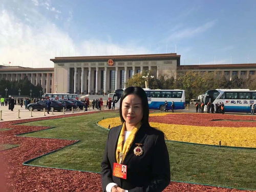 官方下载丁丁app,决策资料解析说明-桌面款_v2.829