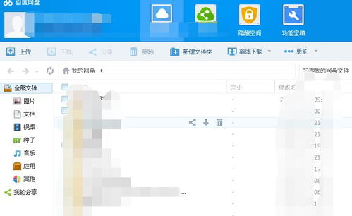 百度网盘 版本,多元化方案执行策略 10DM1_v2.645