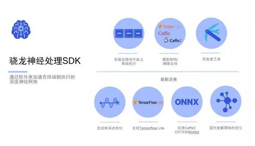 ai软件最新版本,快速响应执行方案|2DM_v10.977