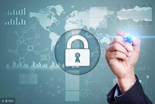 网络安全顾问关于安全软件free手机官方下载，迅速执行设计方案_DX版_v1.487的深入分析