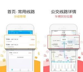 汽车查版本,优选方案解析说明|苹果款1_v10.564