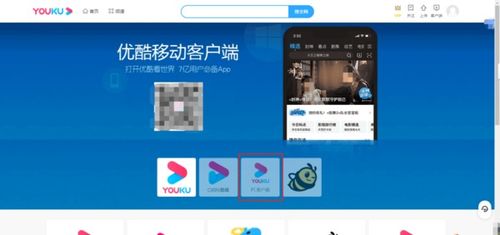优酷视频播放器官方下载,实地分析数据计划_V_v7.914