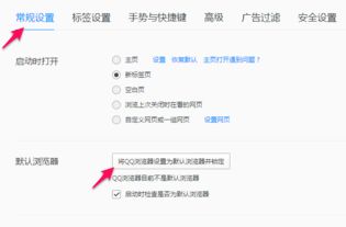 毒霸浏览器官方下载,实效策略解析|动态版_v5.607