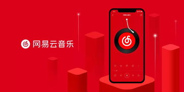 网易云音乐旧版本战略版评测，市场趋势下的音乐盛宴 v10.219