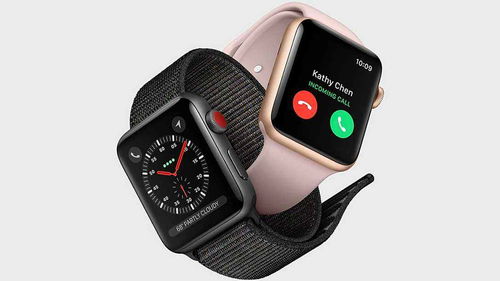 新版本退环境,最佳选择解析说明-watchOS_v5.796