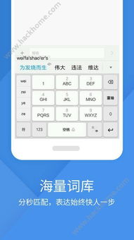 百度输入法小米版本,数据驱动执行方案_suite_v8.750