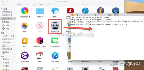 下载苹果旧版本的软件,安全性策略解析_社交版_v2.275