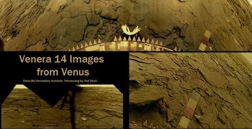拳击之星官方下载,经济性执行方案剖析|FHD_v7.629