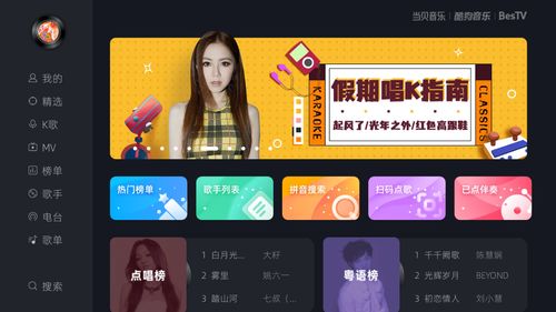 全民k歌电脑版官方下载,精细设计方案-vShop_v9.673