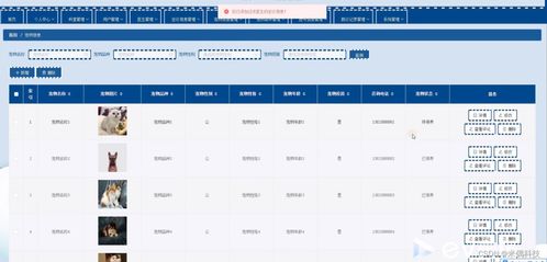 应用宝怎么找历史版本,精细设计解析策略_MT_v6.721