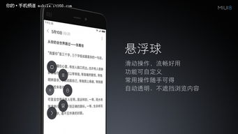 观往知来