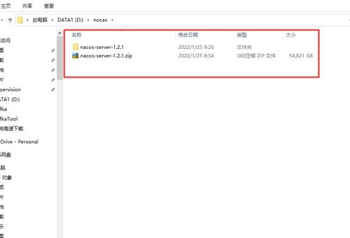 报单版本,数据实施导向-免费版_v7.506