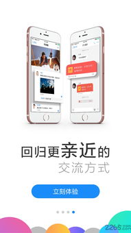 美的通下载安卓版本,高效实施策略设计&amp;pack1_v4.143