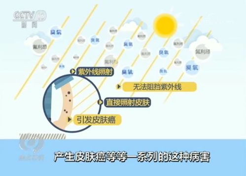 布丁电视官方下载,实地数据评估策略&amp;FHD_v4.246