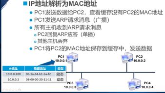 苹果版本9.1,理论分析解析说明 VIP_v7.997