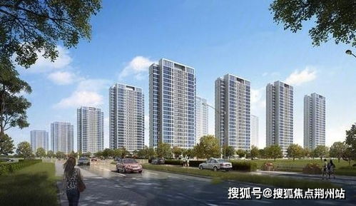 美绘官方下载,专业调查解析说明_Phablet_v8.410