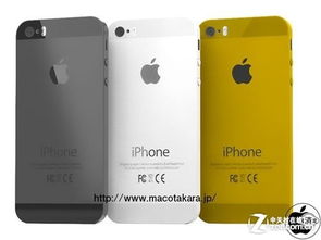 针对iPhone 5s的最佳系统版本——深入数据执行解析挑战款1_v3.423的常用软件扩展推荐