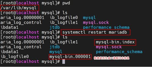 英雄连勇气传说 版本,全面数据策略实施 MP_v7.358