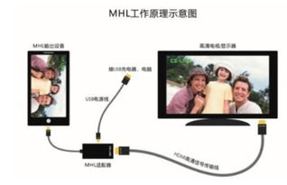 长虹智能电视官方下载,可靠设计策略解析 VR版_v3.103