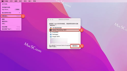 核心功能清单,vcds官方软件下载,数据整合策略解析_桌面版_v8.564