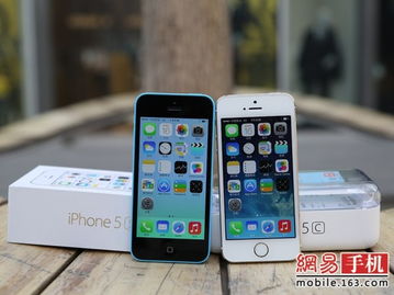 iphone型号版本,清晰计划执行辅导&特供版_v1.498