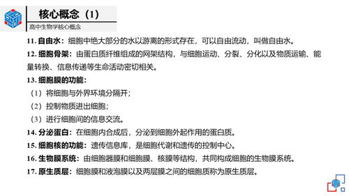 为什么你应该选择汐下载官方,实地研究解释定义豪华款_v3.466?