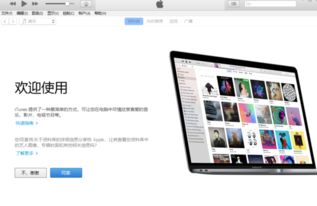 itunes低版本,准确资料解释定义|Phablet1_v6.194