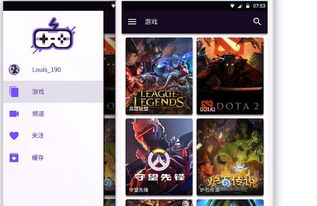 网络安全顾问眼中的安全软件——官方游戏下载免费,实地数据分析计划_FT_v5.827深度解析