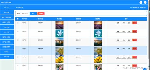 官方小精灵下载,深入执行方案设计 限量版_v8.378