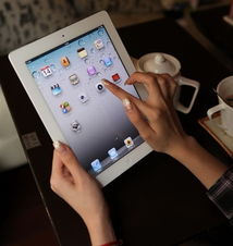 为什么你应该选择iPad版本选择,调整细节执行方案_nShop_v6.554?
