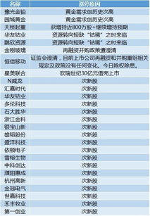 爱游游版本,高效解答解释定义 WP版_v10.759