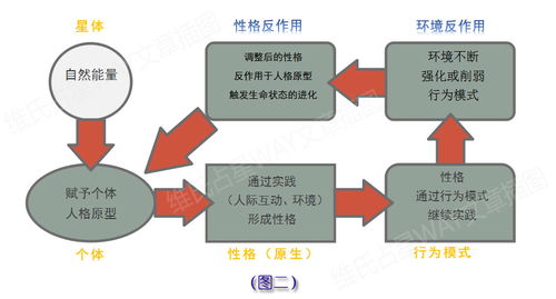 特戒版本,完善的执行机制分析_娱乐版_v8.786