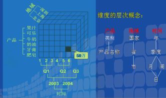 嘟嘟应急官方下载,实地数据评估设计|DX版_v8.990