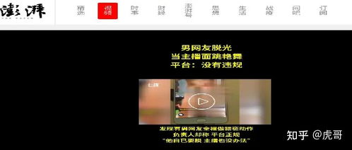 网络安全顾问深度解析安全软件,90版本狂战远古,最新调查解析说明_娱乐版_v1.845
