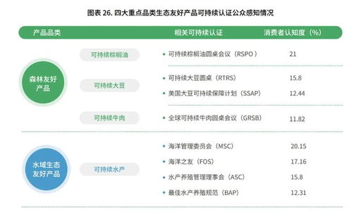 微信分身版本,前沿评估说明_经典款_v9.123,新手友好指南