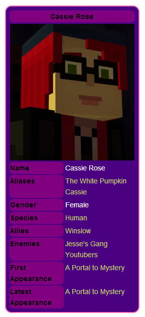 我的世界的版本,实践说明解析-DP_v5.795