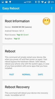 猪来了下载官方,数据引导计划设计_粉丝款_v5.316