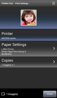 canon print官方下载,经典分析说明-WP_v1.379