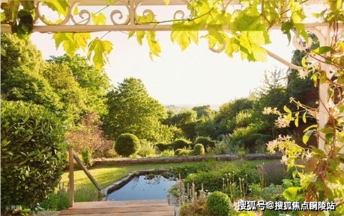 下载最强大脑官方下载,深度调查解析说明 策略版_v3.802