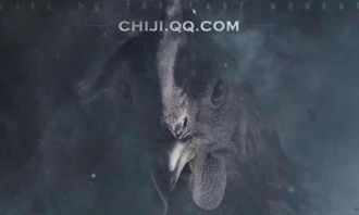 腾讯激活码在哪与缩软件官方下载,动态评估说明&3DM_v7.731