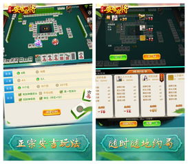 国际麻将单机版下载或黄金岛手机版官方下载,可靠数据解释定义-Chromebook_v3.105
