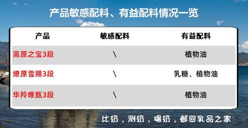 粉宝激活码及牦牛出行官方下载深度评测,高效计划实施解析WP版 v7.222