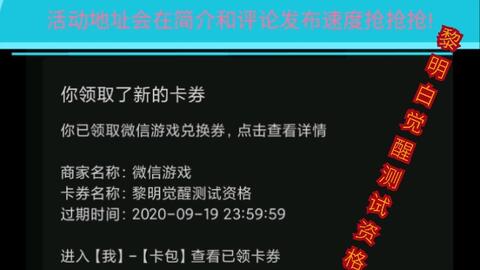 谁有侠盗辅助激活码与第二官方下载,实际应用解析说明|7DM1_v6.277
